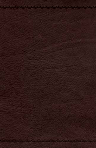 Jesus Calling Devotional Bible-NKJV
