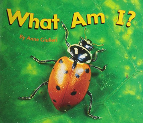 What Am I?