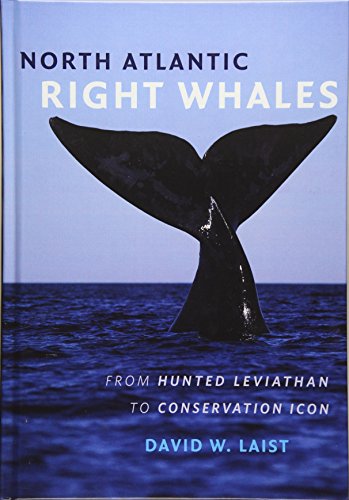 North Atlantic Right Whales cover