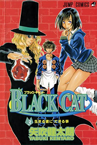 Black Cat, Vol. 3