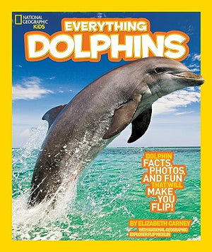 NGK Everything Dolphins