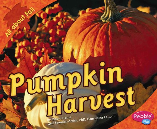 Pumpkin Harvest cover