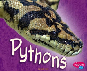 Pythons 