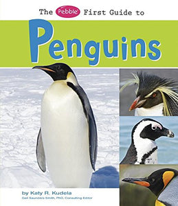 The Pebble First Guide to Penguins 