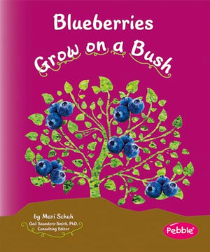 Blueberries Grow on a Bush