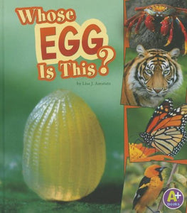 Whose Egg Is This? 