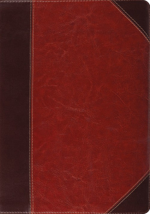 ESV Study Bible, Thumb Indexed