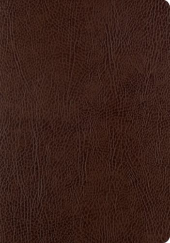 ESV Single Column Journaling Bible, Large Print