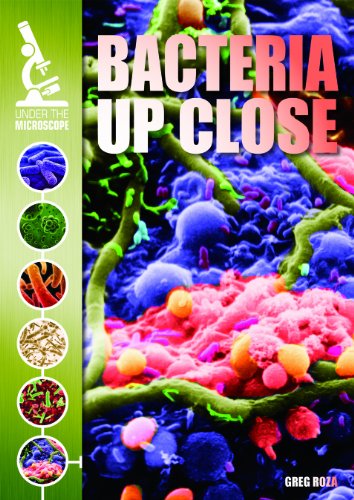Bacteria Up Close