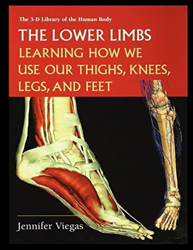 The Lower Limbs