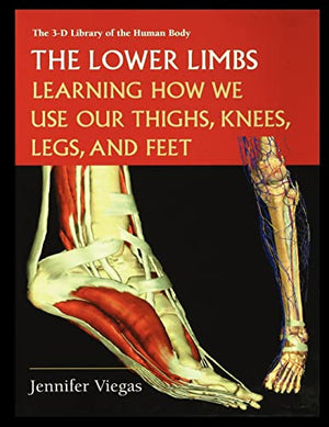 The Lower Limbs