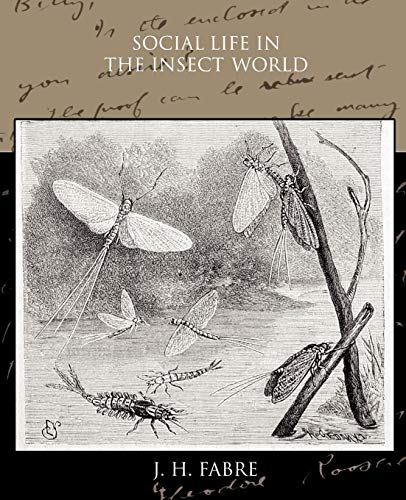 Social Life in the Insect World cover