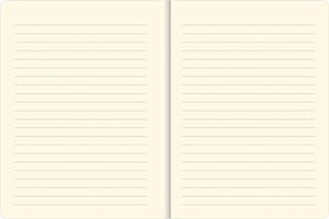 Sea Turtles Journal (Diary, Notebook) 