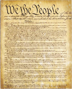 We the People Journal (Diary, Notebook) 