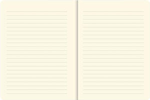 Birch Woods Journal (Diary, Notebook) 