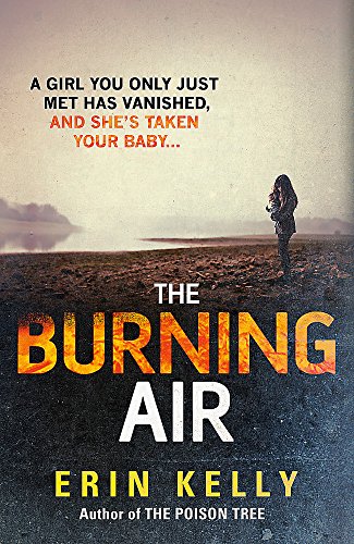 The Burning Air