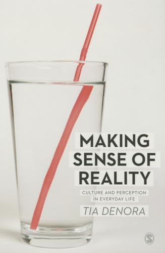 Making Sense of Reality
