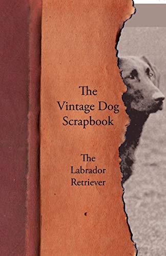 The Vintage Dog Scrapbook - The Labrador Retriever cover