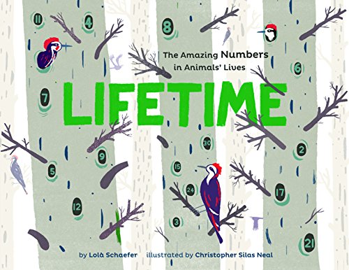 Lifetime