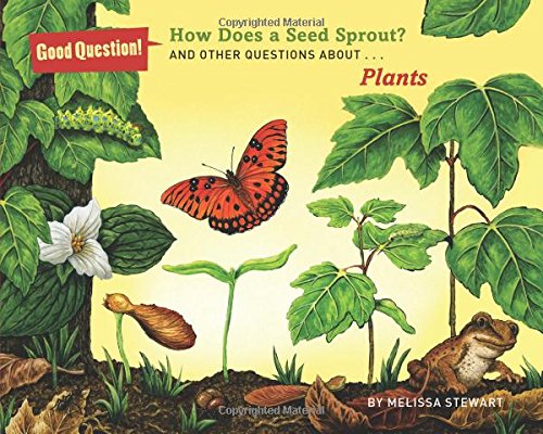 How Does A Seed Sprout Plants