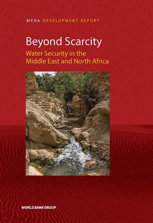 Beyond Scarcity