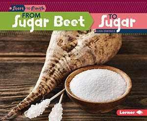 From Sugar Beet to Sugar 