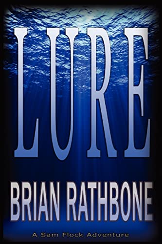 Lure cover
