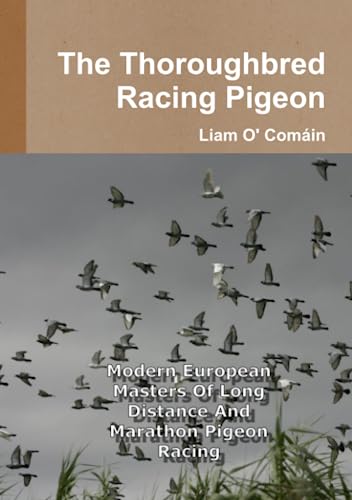 The Thoroughbred Racing Pigeon