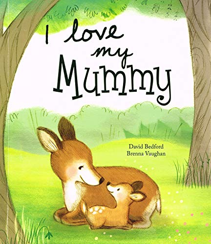 I Love My Mummy - Picture Story Book