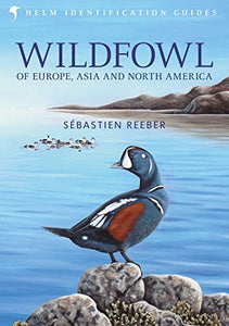 Wildfowl of Europe, Asia and North America 