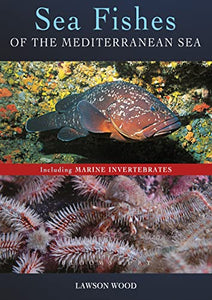 Sea Fishes Of The Mediterranean Including Marine Invertebrates 