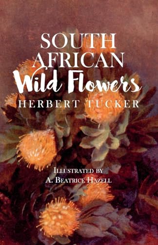 South African Wild Flowers - Illustrated by A. Beatrice Hazell