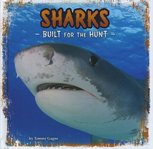 Sharks