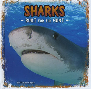 Sharks