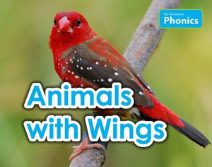 Animals with Wings 