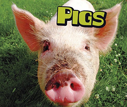 Pigs cover