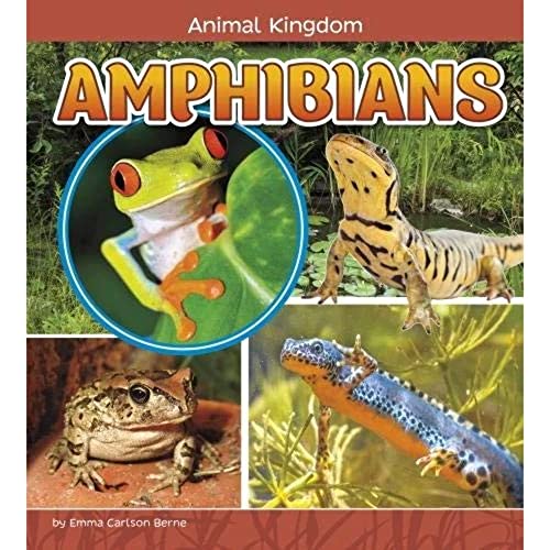 Amphibians
