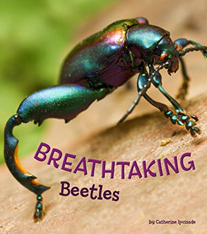 Breathtaking Beetles