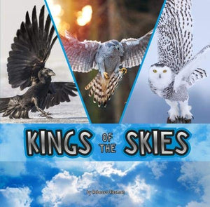 Kings of the Skies 