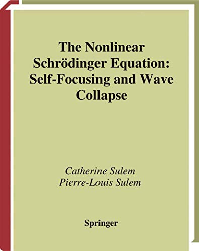 The Nonlinear Schroedinger Equation