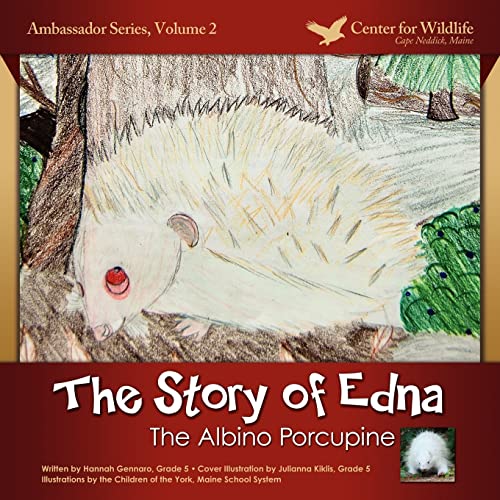 The Story of Edna cover