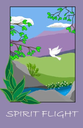Spirit Flight