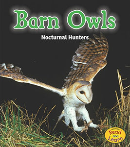Night Safari Barn Owls Nocturnal Hunters 