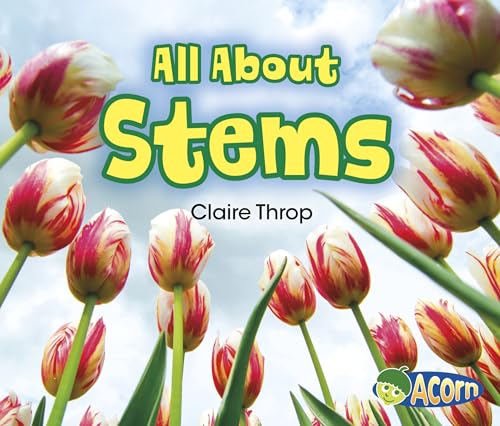 All About Plants All About Stems