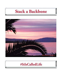 Stack a Backbone 