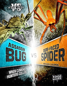 Bug Wars Assassin Bug vs Ogre-Faced Spider When Cunning Hunters Collide 