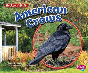 American Crows 