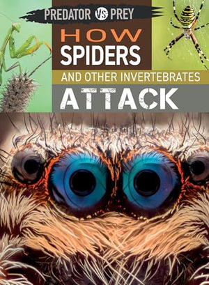 How Spiders and Other Invertebrates Attack