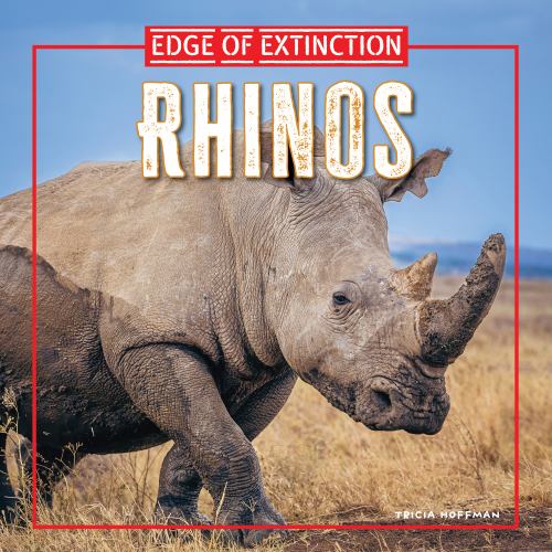 Rhinos