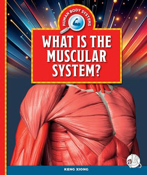 What Is the Muscular System?
